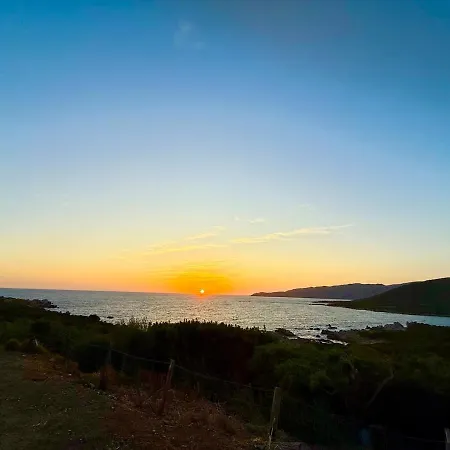 Dans Dependance Face A La